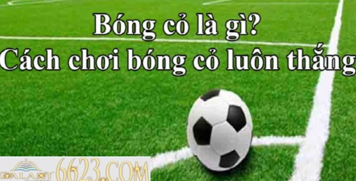 Bóng cỏ là gì? Kinh nghiệm đánh bóng cỏ luôn thắng