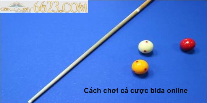 Cá cược bida là gì? Cách chơi cá cược bida online