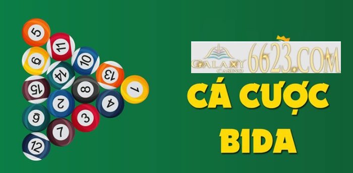 Cá cược bida là gì? Cách chơi cá cược bida online