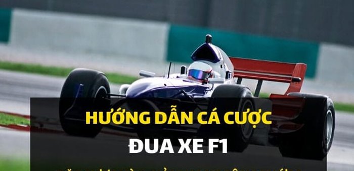 Cá cược đua xe F1 là gì? Hướng dẫn cá cược đua xe F1 mới nhất