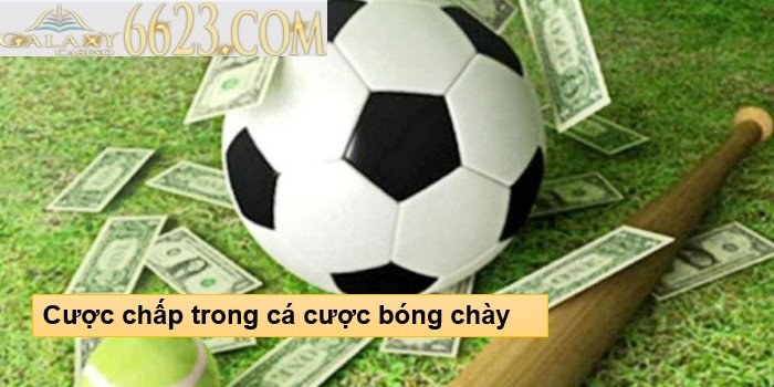 Các thể loại cược chấp trong cá cược bóng chày cần biết