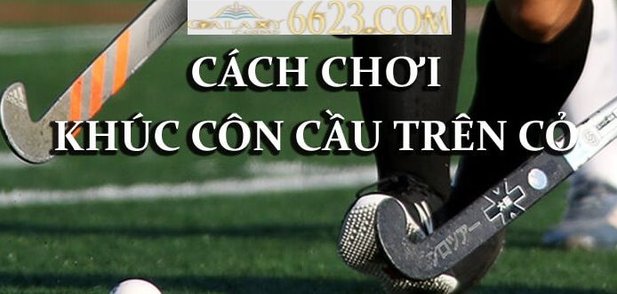 Khúc côn cầu là gì? Giới thiệu về cá cược khúc côn cầu trên cỏ tại nhà cái