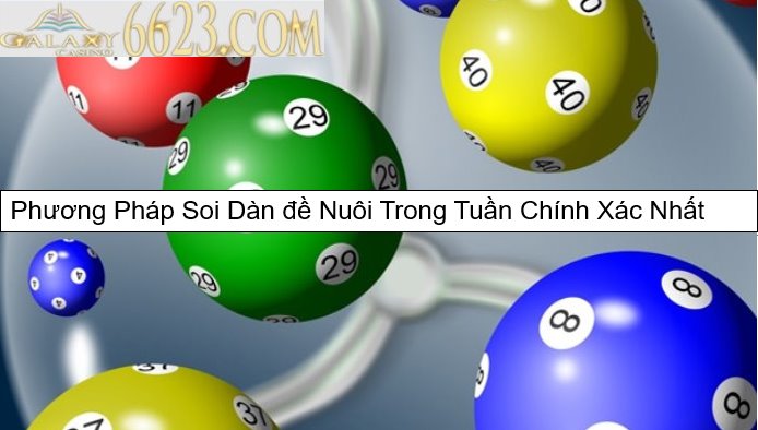 Phương Pháp Soi Dàn đề Nuôi Trong Tuần Chính Xác Nhất