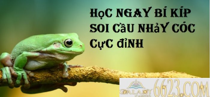 Soi cầu nhảy cóc là gì? Cách soi cầu nhảy cóc chính xác nhất