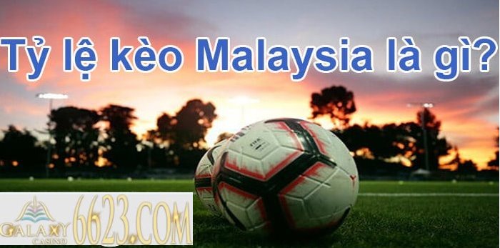 Tỷ lệ kèo Malaysia là gì? Kinh nghiệm cược kèo Malaysia chính xác nhất