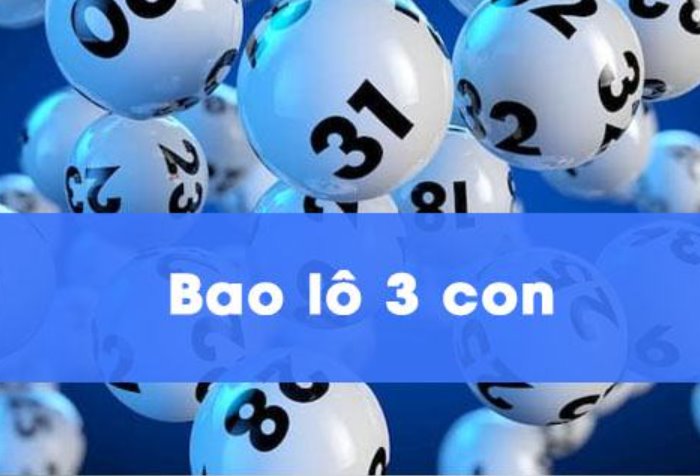 Bao Lô 3 Con Là Gì Và Bao Lô Ba Con Trúng Bao Nhiêu Tiền?