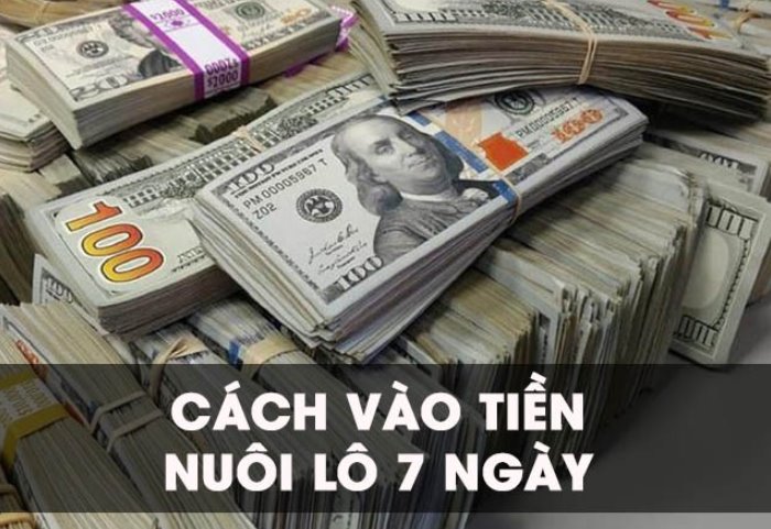 Cách vào tiền nuôi lô 7 ngày chuẩn xác từ các cao thủ