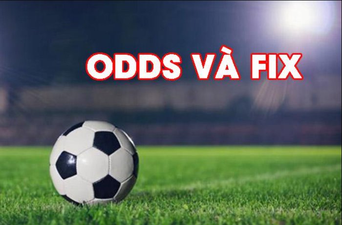 Cách xem Odds và Fix của nhà cái chuẩn xác nhất 2022