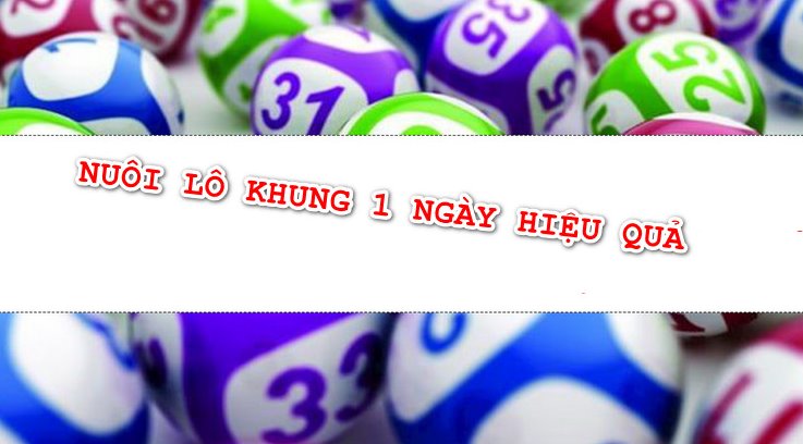 Kinh nghiệm nuôi lô khung 1 ngày hiệu quả nhất