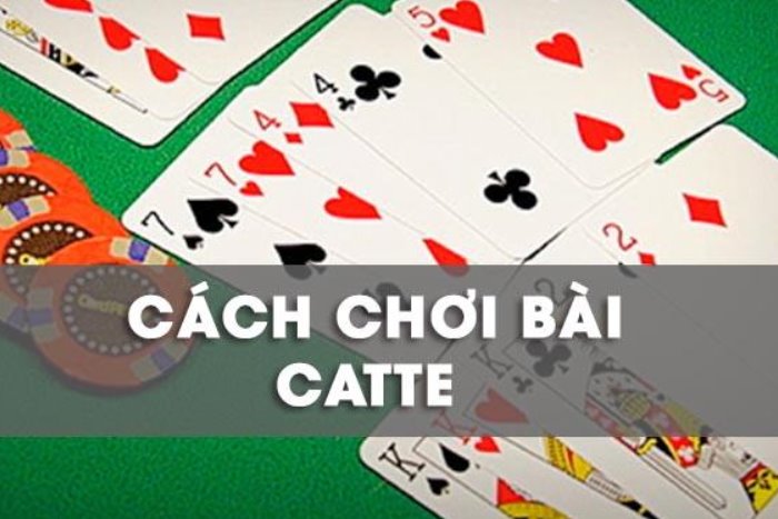 Kinh nghiệm chơi Catte bách chiến bách thắng (Ảnh minh họa)