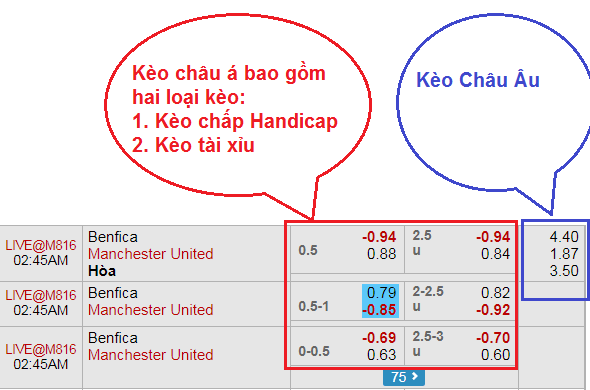 Kèo bóng đá là gì? Những loại kèo bóng đá phổ biến nhất hiện nay